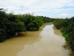 Ten major rivers in Ghana polluted with heavy metals.